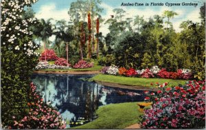 Scenic View Azalea Time Florida Cypress Gardens Colorful Pond Greenery Postcard 