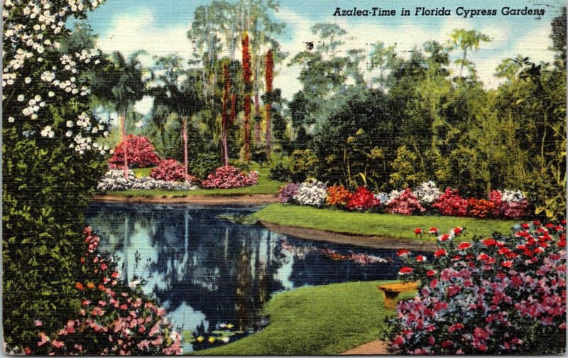 Scenic View Azalea Time Florida Cypress Gardens Colorful Pond Greenery Postcard 