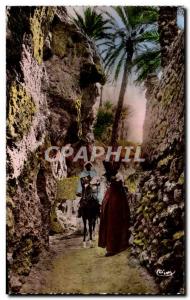 Old Postcard Algeria In L & # 39Oasis Ane