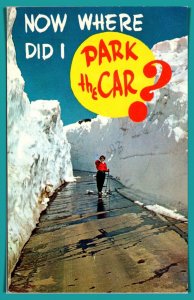 Now Where Did I Park The Car? - [MX-899]