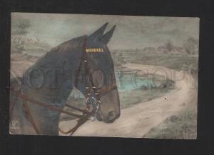 3077182 Head of HORSE in Bridle Vintage PHOTO Tinted RPPC
