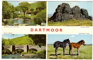Dartmoor, Bridge, Rocks, Ponies, England