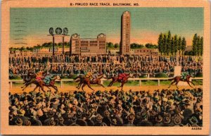 Horses on the Track, Pimlico Race Track Baltimore MD c1949 Vintage Postcard Q74