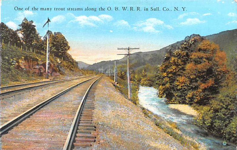 O & W R. R. Sullivan County NY USA Unused 