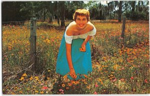 Florida's Black Eyed Susans Pretty Woman Picking Flowers 1950s Vintage Postcard