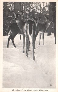 Greetings From Webb Lake,WI Deer BIN