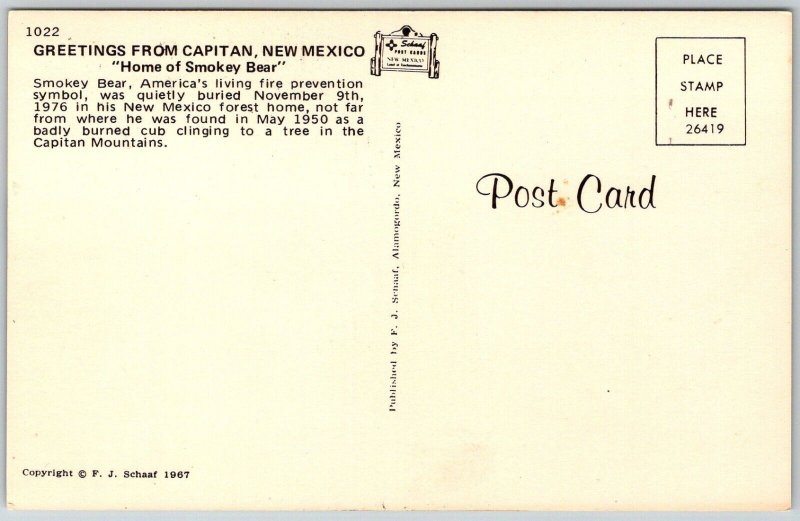 Capitan New Mexico 1970s Greetings Postcard Home Of Smokey Bear