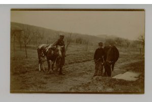 Farmers & Cattle   RPPC