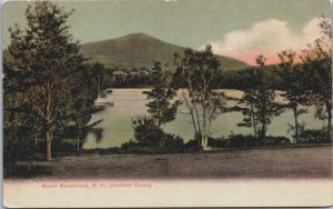 Mount Monadnock New Hampshire Cheshire County Vintage Postcard C079
