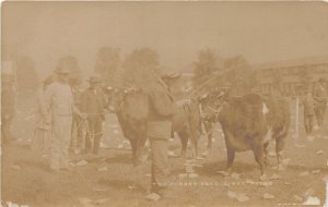 F82/ Occupational RPPC Postcard c1910 Farmer Bull Durham First Prize 18