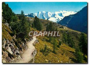 Postcard Modern Hohenweg mit Piz Palu und Bellavista