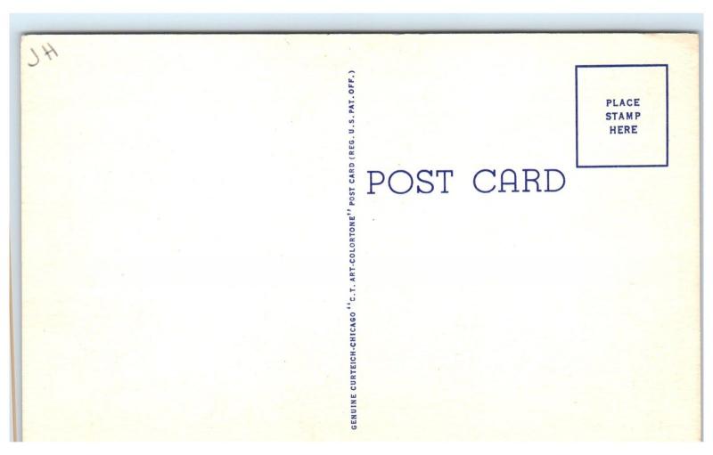 Mid-1900s Greetings from Wisconsin LARGE LETTER Postcard