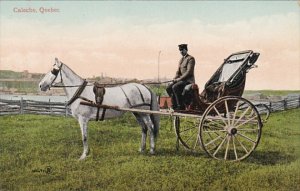 Canada Quebec Caleche Horse and Carriage