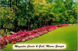 Azaleas of Magnolia Courts, Macon GA Vintage Postcard U77