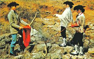 Okeene OK Deadly Diamondback Rattlesnake Roundup Postcard