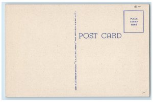 c1940s Suwanee Stern Paddle Steamer Scene Dearborn Michigan MI Unposted Postcard 