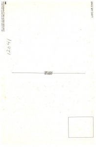 Ronbo Presient  Reagan as Rambo