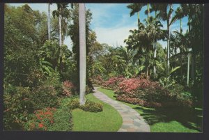 FL ST. PETERSBURG Sunken Gardens Upon entering A winding Trail ~ Chrome