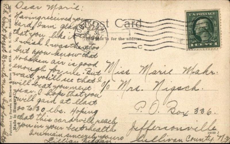 Central Park Manhattan New York City Split View c1905 Postcard