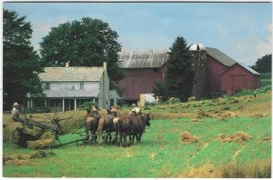 1991 Postcard, Ohio's Amish Country