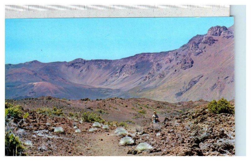 HALEAKALA CRATER, Maui, HI Hawaii ~ View From SILVERSWORD TRAIL c1950s  Postcard