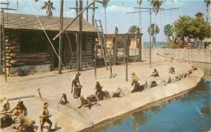 Postcard Florida Sanford Municipal Zoo 1950s Monkey Island 23-3550