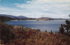 Clear Lake California Birds Eye View Vintage Postcard AA30856