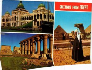 CPM EGYPTE Greetings from Egypt (343694)