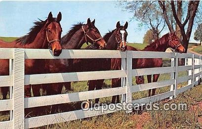 Friendly Gathering Free Lance Photographers Guild, Inc Unused 