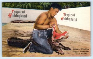 MIAMI, Florida FL ~ Henry Nelson TROPICAL HOBBYLAND Alligator Wrestler Postcard