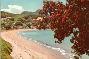 postcard New Zealand - Taurikura Bay, Whangarei Harbour - Pohutukawa trees