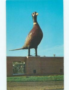 Unused Pre-1980 LARGEST PHEASANT IN THE WORLD STATUE Huron South Dakota SD E7915