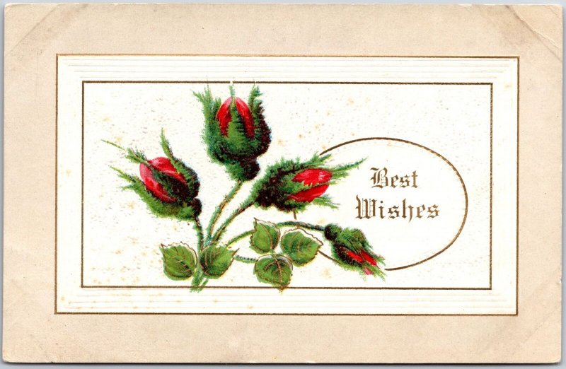 Roses Rose Buds Best Wishes Rose Floral Greetings Postcard 