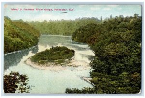 View of Island In Genesee River Gorge Rochester New York NY Vintage Postcard 