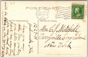 1911 A Florida Razor Back Mammal Animal Posted Postcard