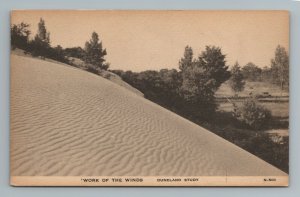 Work of the Winds Duneland Study Vintage Postcard