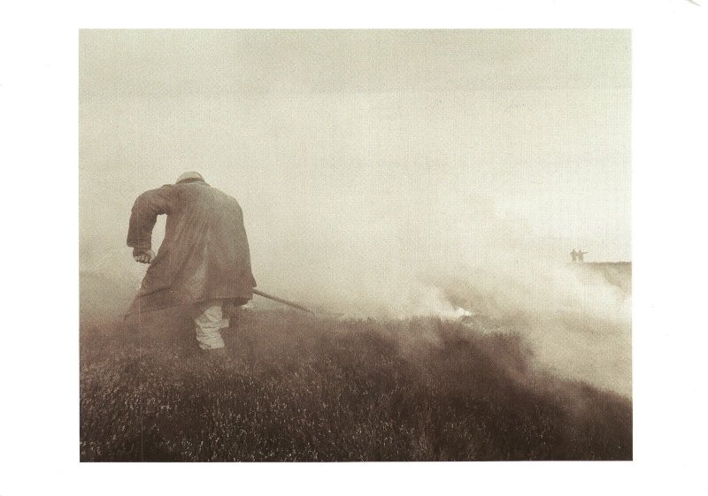 CLASSIC REPRODUCTION PHOTOGRAPHY OF YORKSHIRE GROUSE MOORS & FIRE CONTINENTAL