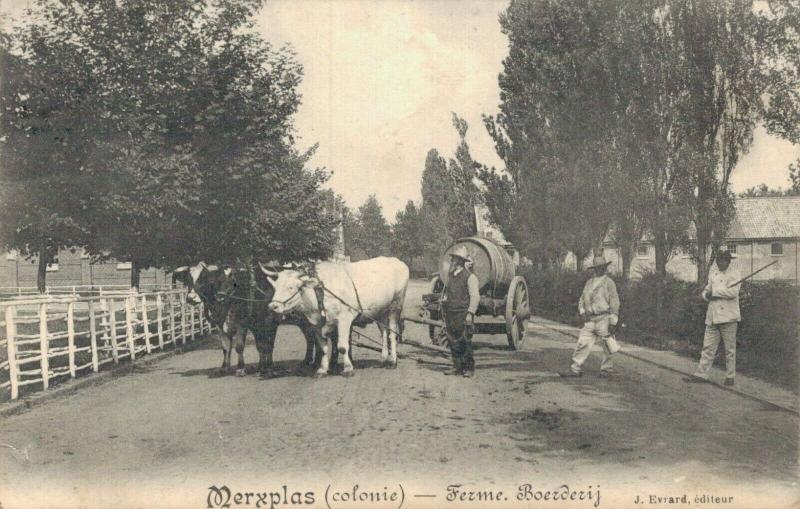 Belgium Merxplas Ferme Boerderij 02.37