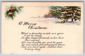 A Merry Christmas, Pine Cones, Snowy Rural Scene, 1917 Gartner & Bender Postcard
