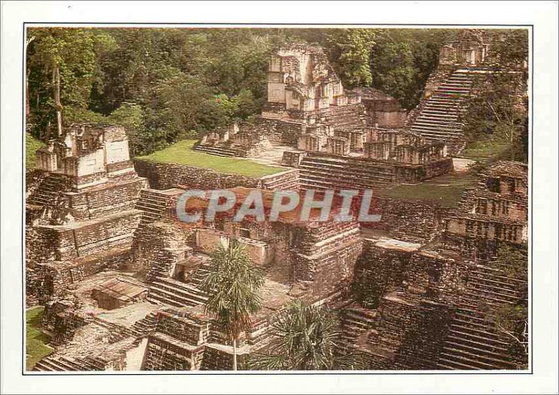 Tikal Guatemala Modern Postcard the Ancient Maya metropolis