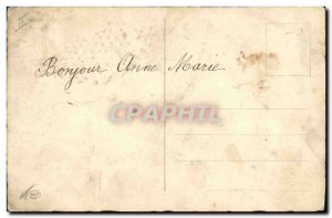 Old Postcard Cats Cat Kitten