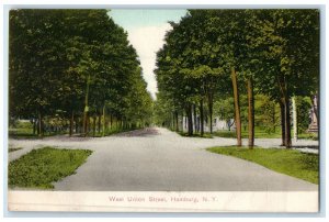 c1910's West Union Street Trees Road Scene Hamburg New York NY Unposted Postcard