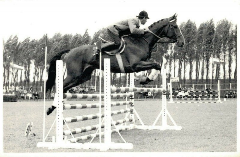 Horse Sports 1970 Jumping REAL PHOTO 03.02