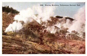 Yellowstone National Park, Roaring Moutain