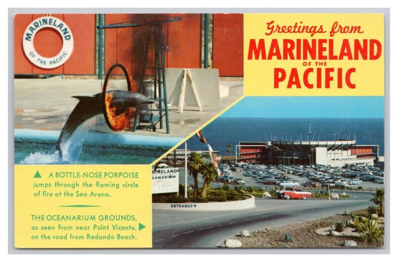 Postcard Greetings From Marineland Of The Pacific Palos Verdes California