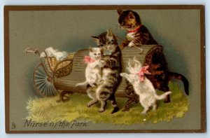 1908 Cat Kittens Nurse In The Park Art East Dover Vermont VT Tuck Postcard