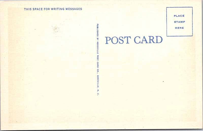 Postcard HOTEL SCENE Cashiers North Carolina NC AL2038