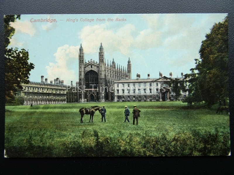 Cambridge - KING'S COLLEGE From The Backs c1905 Postcard by Raphael Tuck 8013