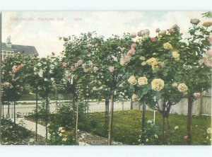 Divided-back GARDEN SCENE Portland Oregon OR AF7068