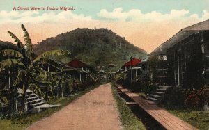 Panama, Street View Pedro Miguel Showing Dainty Cottages Vintage Postcard c1910